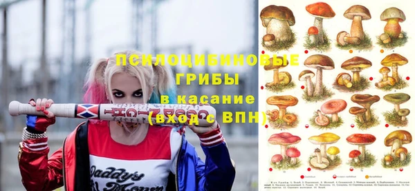 марки lsd Мегион