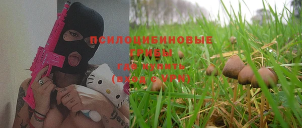 скорость Медвежьегорск