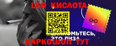 стаф Тара