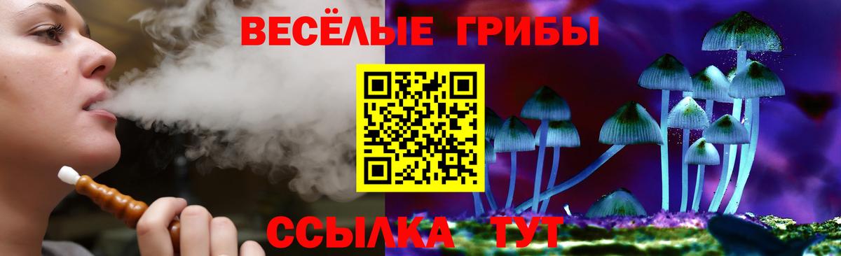Орск  Псилоцибиновые грибы прущие грибы  Псилоцибиновые грибы Psilocybine cubensis  Вход с VPN 